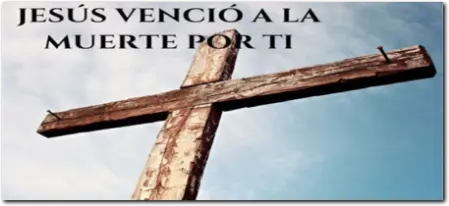 lee tu biblia La palabra de Dios te enseña